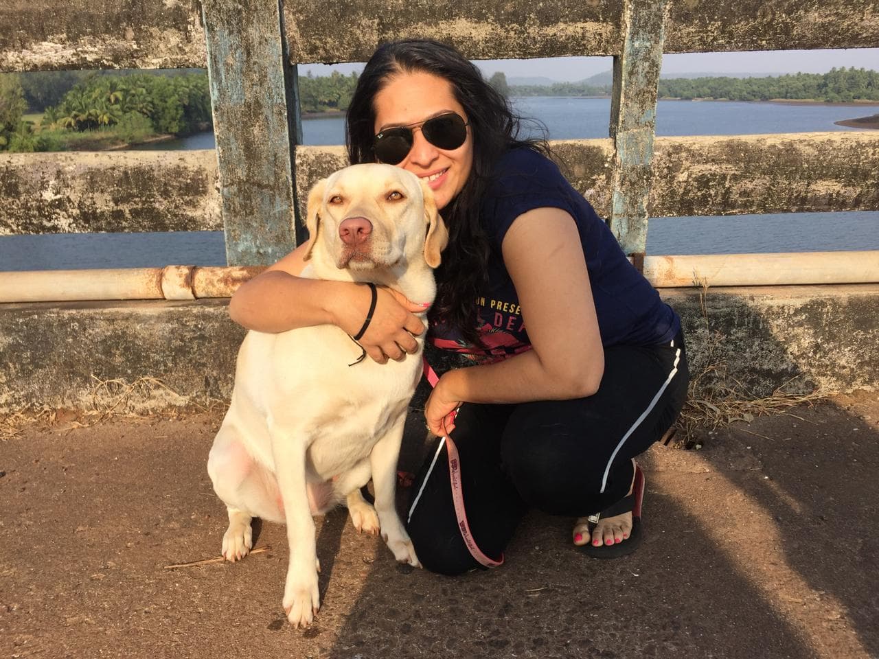 Angel - The soulful Labrador who inspired Wagtime