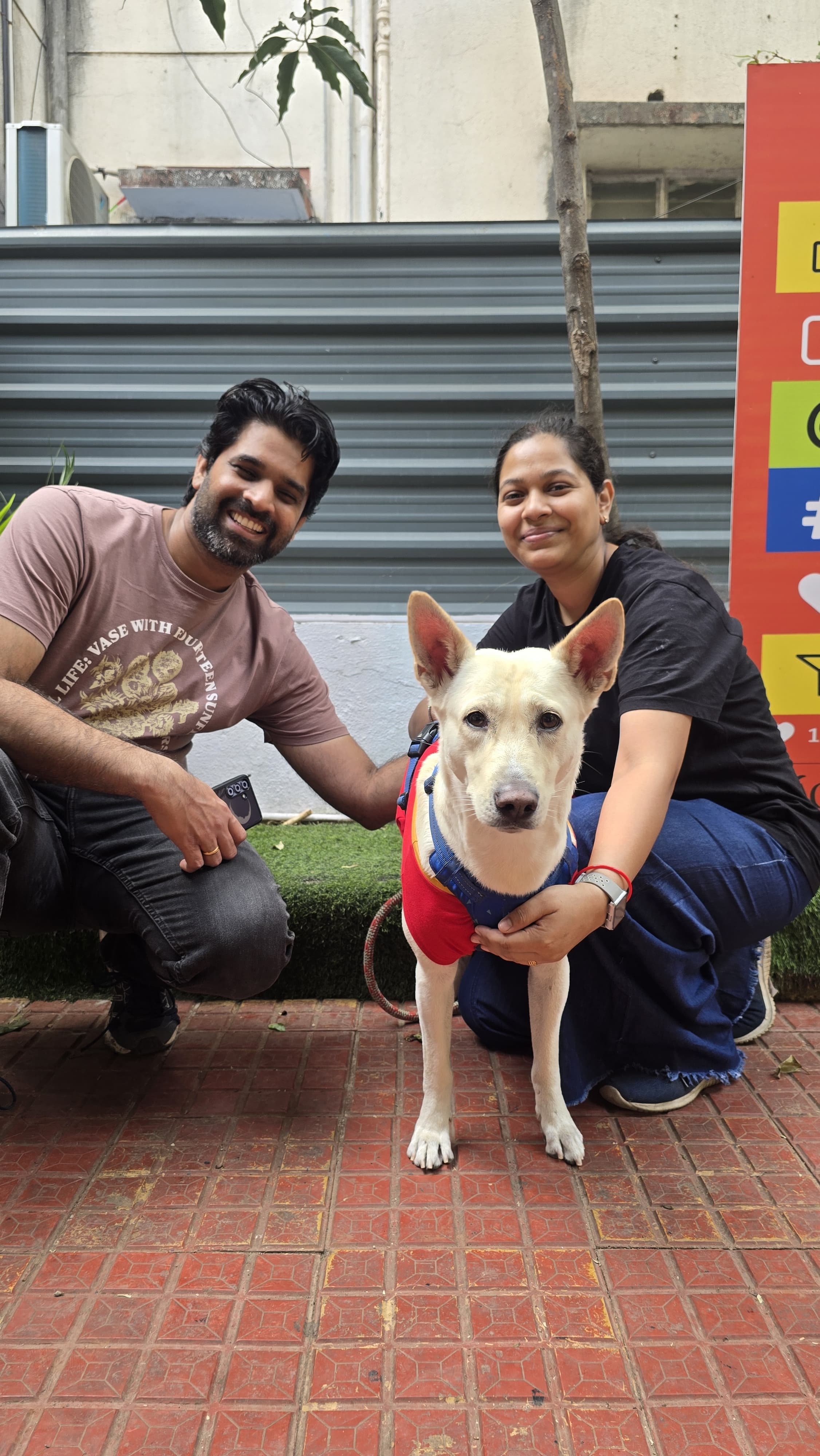 Happy pet at WagTime